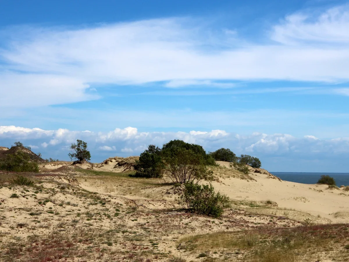 Экотуризм в России вырос на 40%. Какие регионы, заповедники и нацпарки ...